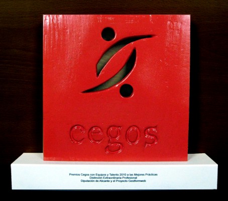 Trofeo del Premio Cegos Equipos & Talento 2010. Distinción extraordinaria profesional.